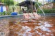 A group of women in bikinis sitting in a swimming pool.